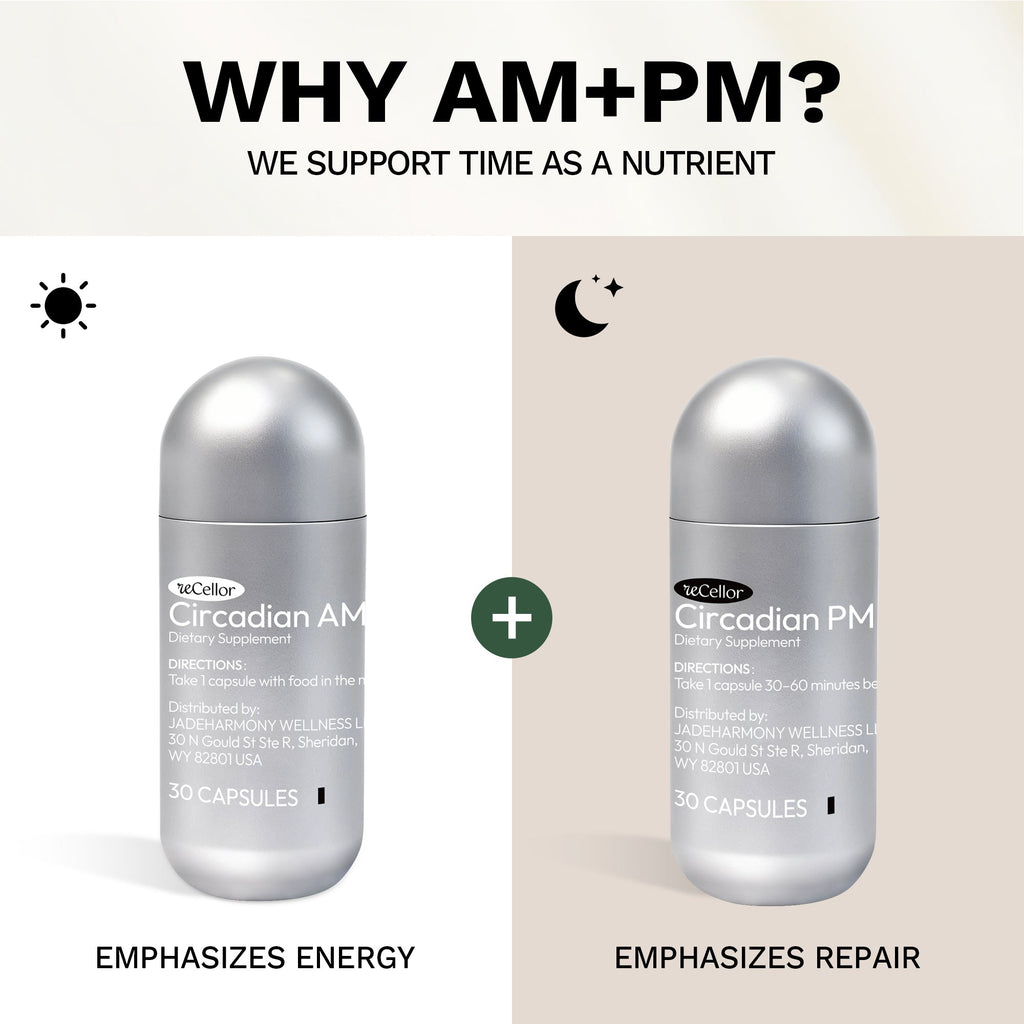 recellor -Circadian AM+PM