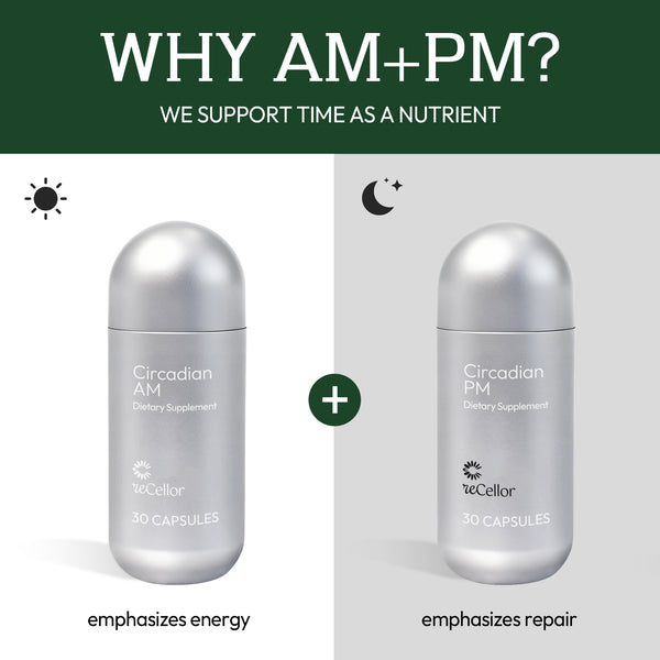reCellor Circadian AM + PM _4