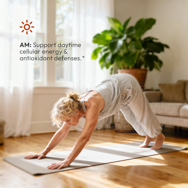 reCellor Circadian AM + PM _7